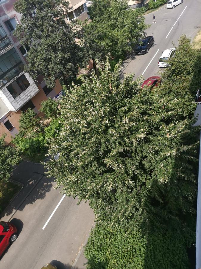 Bloom Box Apartments Craiova Exteriör bild